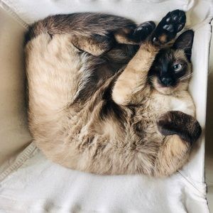 Meet your Posher, Makaiyla